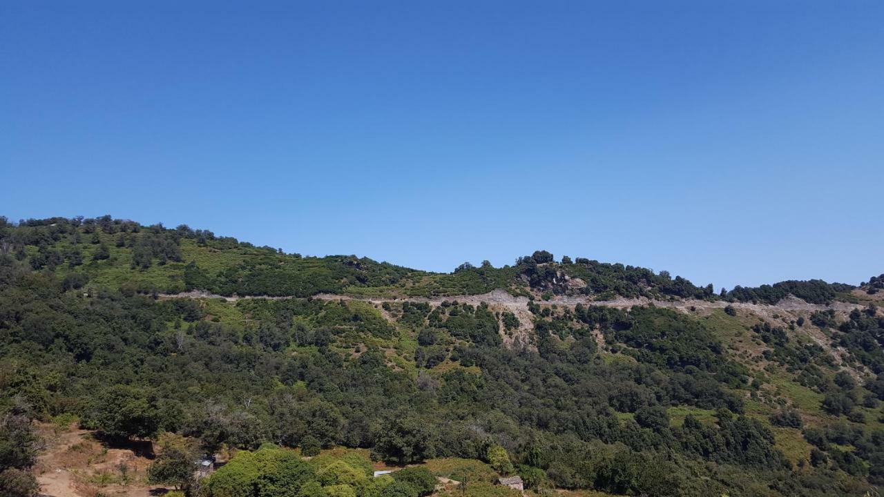 English Club In Corsica B&B Porri 외부 사진