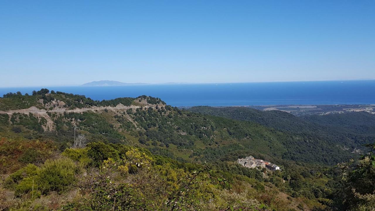 English Club In Corsica B&B Porri 외부 사진